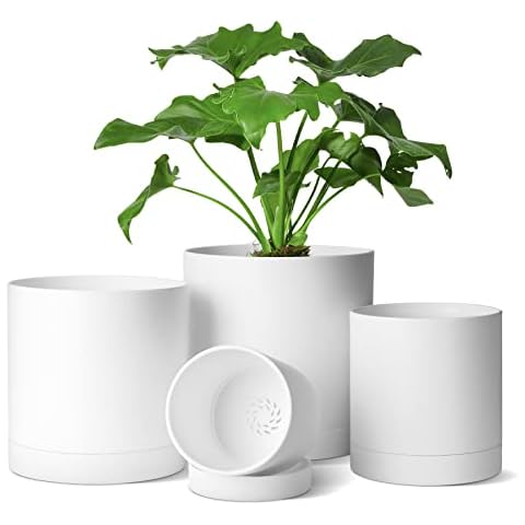 T4U Plastic Plant Pots with Saucers Cover