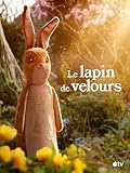  Le lapin de velours