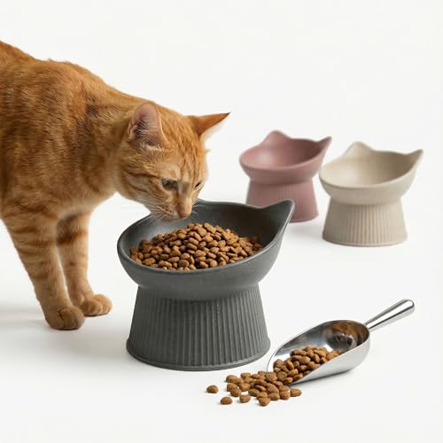 PiuPet® Katzennapf erhöht I Ergonomischer Futternapf Katze für Nass- & Trockenfutter I schnurrhaar freundlich I rutschfest I spülmaschinengeeignet I Schonendes Fressen I gegen Erbrechen (Grau)