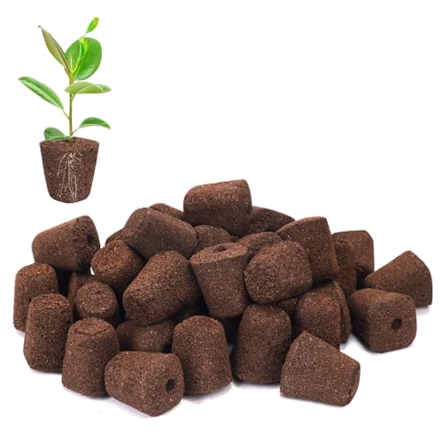 LAPOND 50 Pcs Seed Starter Plugs Replacement Root Grow Sponges Plant Plugs Great for Soil Tray or Planting Pods Promotes Herbs Vegetables and Flowers Growth
