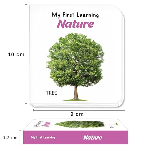 Image of My First Little Librarian: Boxset of 12 Best Board Books for Kids