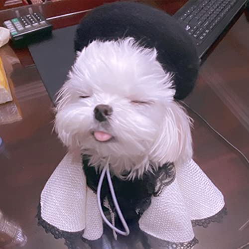 Muyaopet Dog Cat Beret Wool Hat Headband French Artist Beanie Beret Pet Dog Christmas Costume Hair Accessory Photo Props (Black, One Size) #TOP1