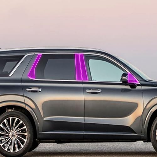 Film PPF extérieur JCAKES haut de gamme pour carrosserie Hyundai Palisade