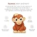 Tonies My First Jungle Set - Monkey, Parrot and Tiger Soft and Squeezable Audio Toy Figurines