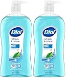 Dial Body Wash, Refresh & Renew Spring Water, 32 fl oz (Pack of 2)