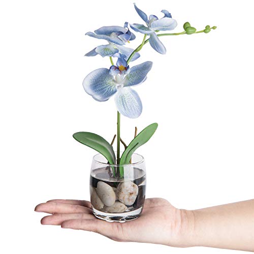 Mygift Blue Synthetic Silk Phalaenopsis Orchid, Fake Flowers With Vase And Rock Fillers #TOP3