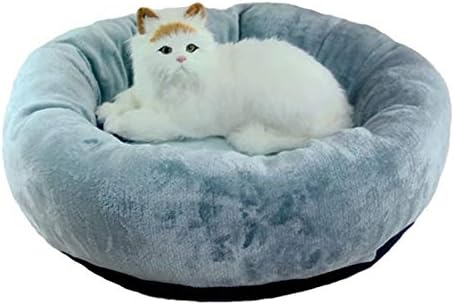 pet planet cat beds