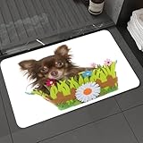 Lavable en machine Gagnez du temps - Lavage en machine à l'eau froide sur cycle délicat, séchage rapide, le tapis de bain en mousse à mémoire de forme sèche exceptionnellement rapidement. Ne vous inquiétez pas que les fibres se détachent, la qualité est résistante à la lumière, facile à manipuler et à entretenir. Matériau très durable, peu importe combien de fois il est lavé et séché, la couleur reste belle et vive.