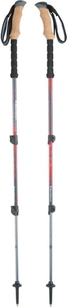 Black Diamond Trail Ergo Cork Trekking Pole