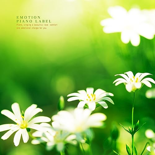 Play Piano for sleeping and happy mind (sleeping therapy) by VARIOUS ...