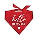 Hello Iâ€™m New Here Dog Bandana (Red, XS 1109)