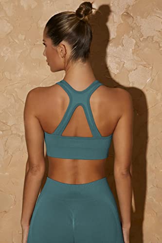 Wanliss Summer Plus Workout Sets For Women 2 Piece Seamless Ribbed Crop Tank High Waist Shorts Casual Yoga Outfits #TOP4