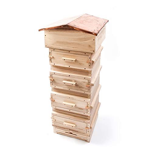 Paynes Warre Hive - Complete (Copper roof)