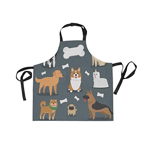 MASAI Gv    킢 \ ₷ ɂȂɂ jp