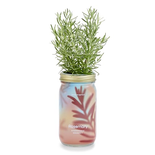 Modern Sprout Mason Garden Jar - Self-Watering Hydroponics Growing System Kit with Organic Herb Seeds - Jar Planter for Indoor Herb Garden - Seed Starter Kit - Home Decor & Gifting - Rosemary