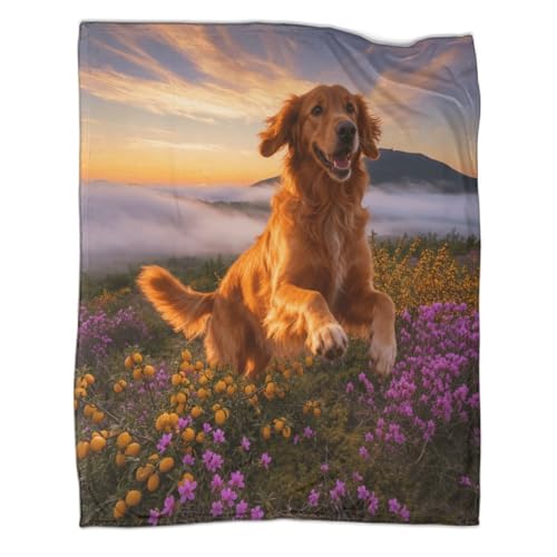LWXWHR Couverture en Polaire Imprimée Setter Irlandais Couverture De Canapé Douce Et Chaude Plaid Alpine Arbustes, pour La Maison Entière Toutes Saisons...