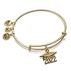 Alex and Ani Path of Symbols Expandable Bangle for Women