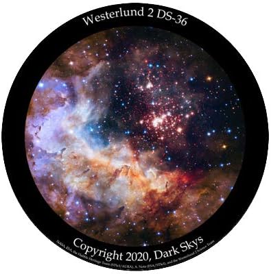 Miller Engineering Westerlund 2 Star Disc for Homestar Flux Home Planetarium, 220 Film Format, Color