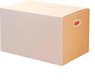 収納ボックス 折りたたみ式プラダン製 収納 2枚入 プラスチックケース プラスチック段ボール 書類整理 箱 引越し 再利用 会社 オフィス