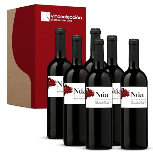 Núa Crianza 2020, 6 botellas x 75 cl