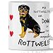 Imagen de Rottweiler