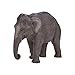 MOJO Asian Elephant Realistic International Wildlife Toy Replica Hand Painted Figurine, Grey (387266)
