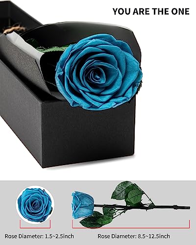 Image of Loyal Blue Flowers for Delivery Prime, Preserved Blue Roses Flower Gifts for Women, Real Roses Single Rose Gifts for Her, Mom Birthday Gifts from Daughter, Valentines Flowers