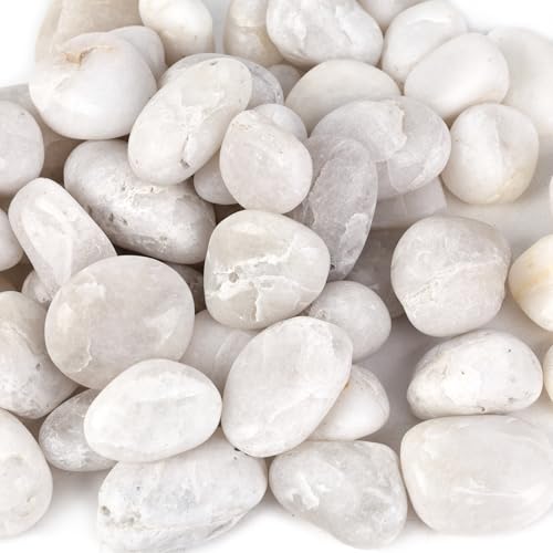 DomeStar 2.7lb White River Rocks, Polished Pebbles Decorative Whi...