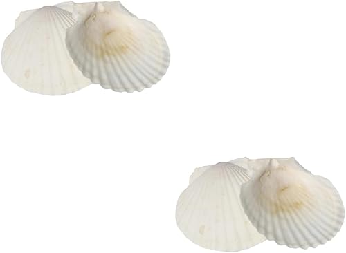 NOLITOY 4 piezas para hacer velas, conchas marinas, pecera, concha de vieira natural, decoración del océano, decoración de acuario, conchas de playa