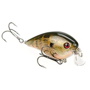Strike King KVD 1.5 Shallow Square Bill Crankbait