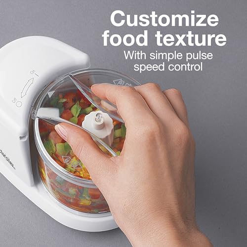 Mini Blender For Pesto