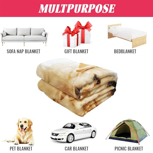 YISUMEI Decke 150x200 cm Kuscheldecken Sanft Flanell Weich Fleecedecke Bettüberwurf Golden Retriever Welpen