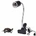 HIIZORR Heat Light For Reptiles Tortoise 720°Rotating Flexible Clamp Lamp Lizard Or Amphibian Adjust Brightness Habitat Lighting Holder, Bulb Not Included,Fit E27 Bulb |RESPECTING