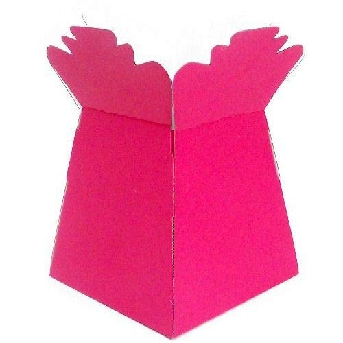 HoitoDeals Flower Bouquet Living Vase Box For Florist Presentation Gift Boxes (1Pcs)
