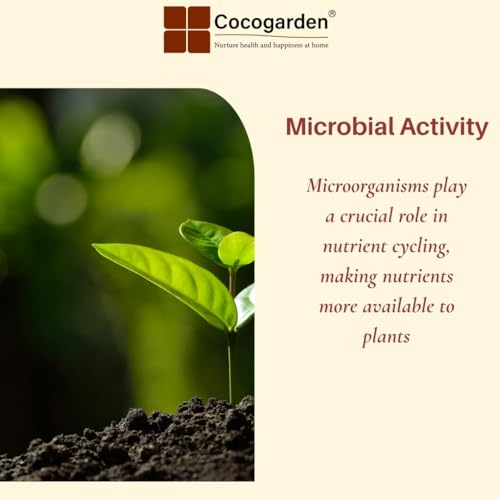 Cocogarden Groundnut Cake Fertilizer for Plants 400 grams,Organic Fertilizer for enhanced Flowering and Fruiting