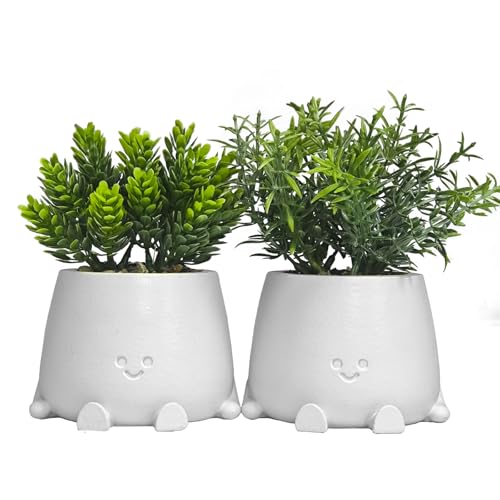 ASDFG White Planters with Artificial Plants Set - 2Pack Smiley Face Plants Pot with Fake Plant, Faux Succulent Plant Pots for Bathroom/Kitchen/Sill/Office Home Decor, Gifts for Mom/Women