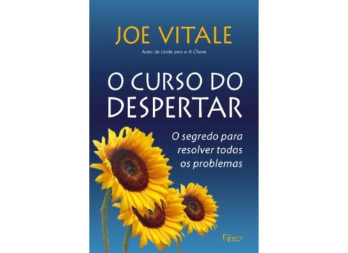 O curso do despertar: O segredo para resolver todos os problemas