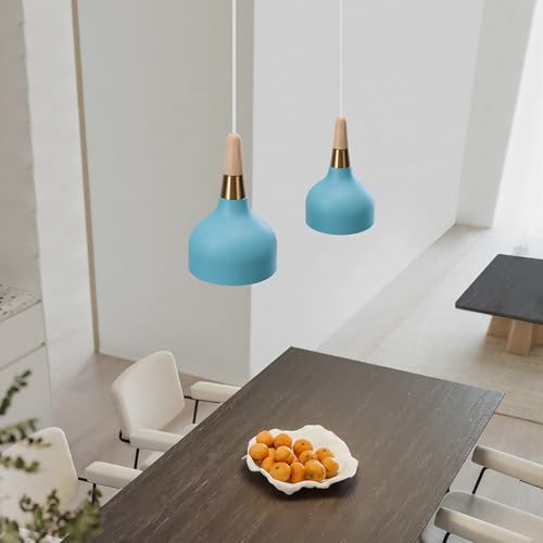 Lámpara de techo moderna E27 retro para iluminar la mesa de la cocina y el salón 6