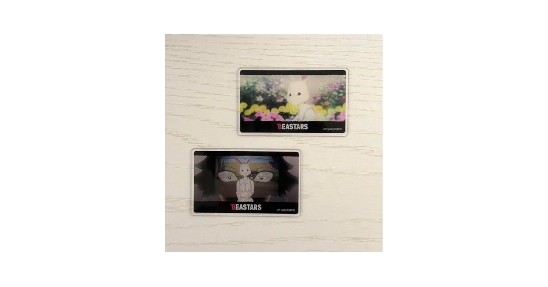 BEASTARS 直筆サイン入り アクリルプレート モンスターアンドゴースト【ヒメミコ先生直筆サイン入り複製原画