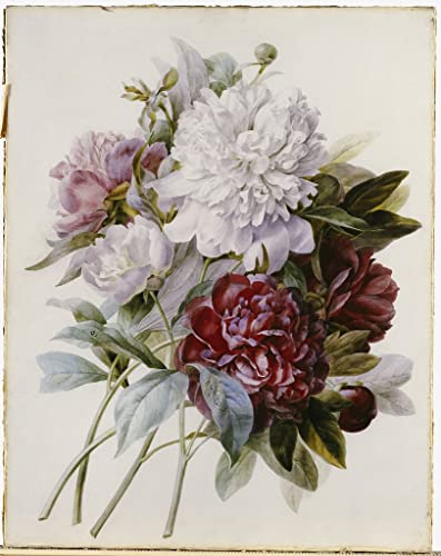 Peinture murale bouquet de fleur rouge rose blanche pour décoration de salon chic et lumineux