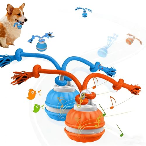 IIEFFJL 2Pack Interactive Dog Toys for Small Dogs Peppy Pet Ball & Chase Buddy Dog Toy Active Rolling Puppy Toys to Keep Them Busy Daily Training Interactive Puppy Toys