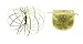 VORTIFLUX Flow Ring Kinetic Spring Toy - SOLID GOLD