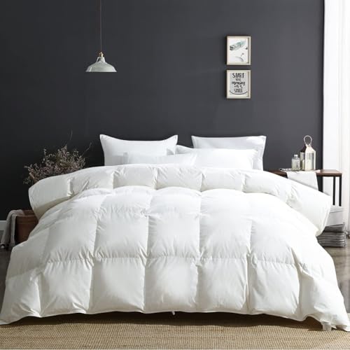 APSMILE | Édredon en Duvet d'oie et Plumes | Hiver | 2 Personnes 240 x 260 cm | 100% Coton avec 8 Onglets d'angle | Blanc