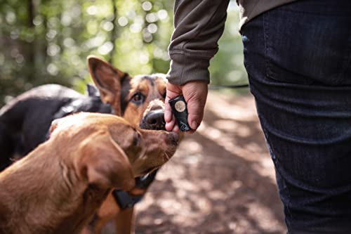 TSP Bio-abbaubare Hundekotbeutel mit Henkeln - OK compost HOME zertifiziert - 100% heim-kompostierbar und biologisch abbaubar - Gross & Extra Dick (18µm), (18 Rollen (252 Beutel))