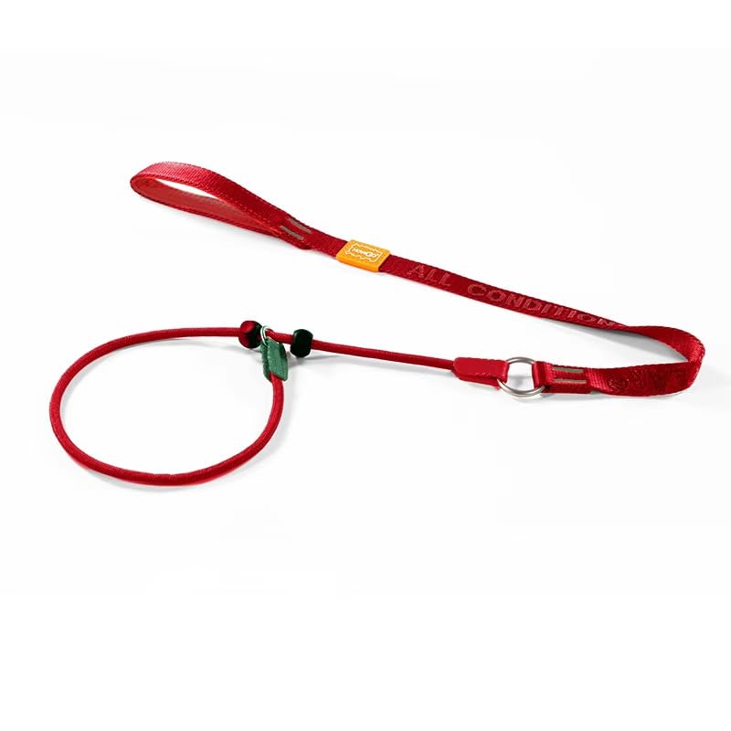 Howgo Dog Slip Lead Dog Leash, Training Leash, No-Pull Lightweight Slip Lead and Collar, Heavy Duty & Durable, Padded Handle, for All Breeds (Red, 3.6FT)