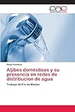  Aljibes domésticos y su presencia en redes de distribucion de agua: Trabajo de Fin de Master