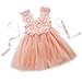 Elegant Feast Baby Girls Princess Lace Flower Tulle Tutu Gown Formal Party Dress (3-4 Years, Pink)