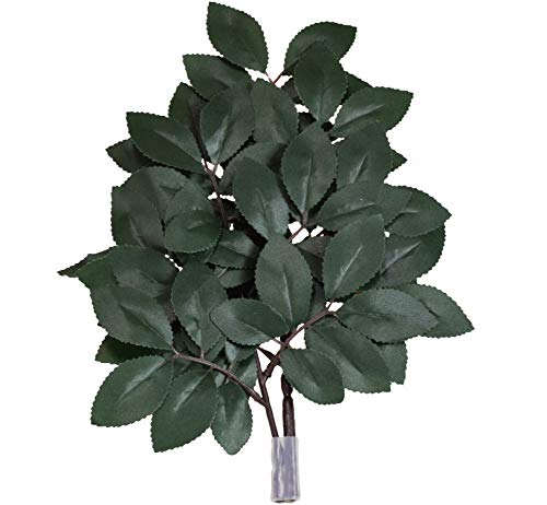 ファイン 榊 グリーン 約20×30×3cm FIN-420