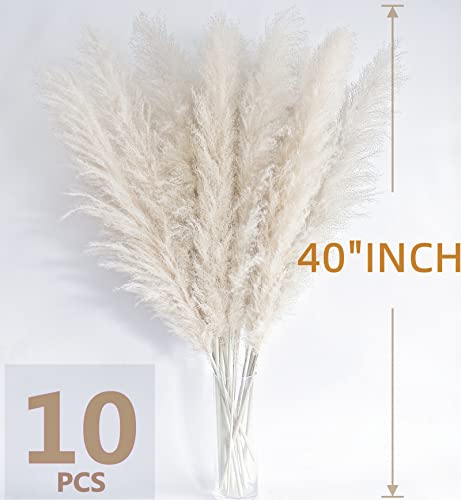 Image of 46 inch inch 10 Stems Cream Pampas Grass Decor Tall, Dry Flowers for Floor Vases Decor, Natural Dried Flowers for Wedding, Natural Home Decor, Wall Grass, Glam Decor