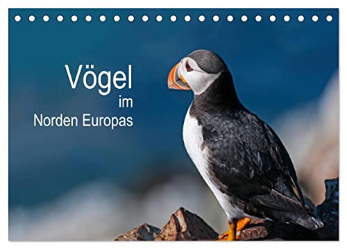 Vögel im Norden Europas (Tischkalender 2026 DIN A5 quer), CALVENDO Monatskalender: Beeindruckende Bilder über die faszinierende Vogelwelt in Skandinavien (CALVENDO Tiere)